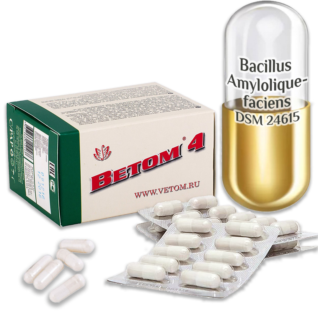 Vetom 4 probiotikum kapszula (étrend-kiegészitő)